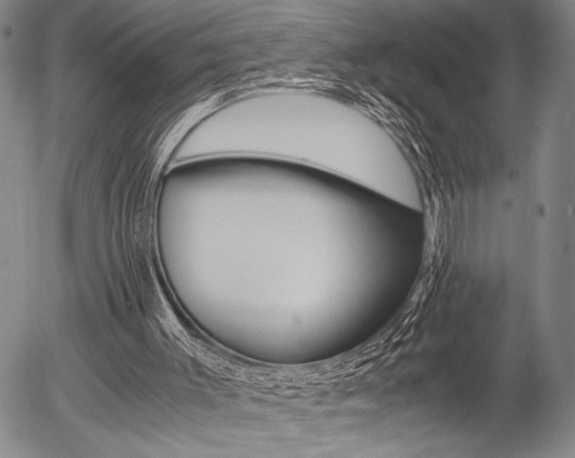 X0000057580003200509160822