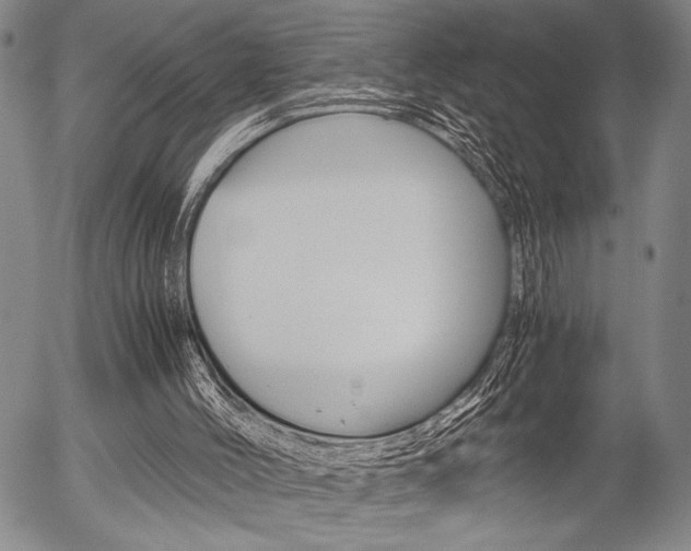 X0000057580004200509160822