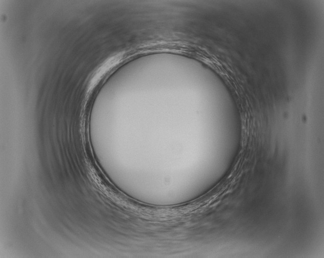 X0000057580006200509160822