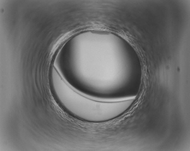 X0000057580007200509160822