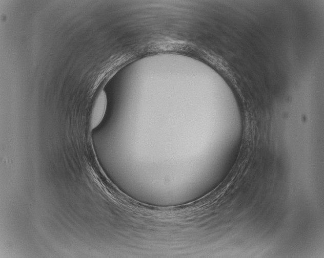X0000057580010200509160822