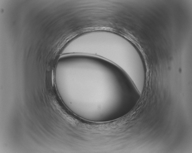 X0000057580013200509160822