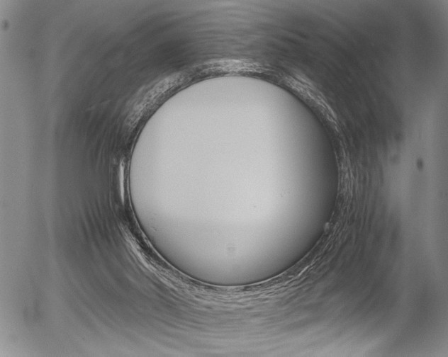 X0000057580014200509160822
