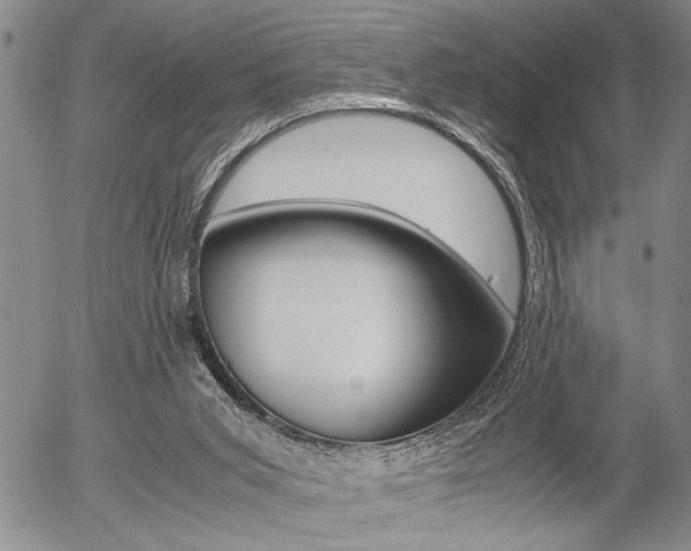 X0000057580015200509160822