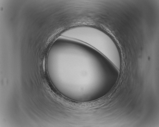 X0000057580019200509160822