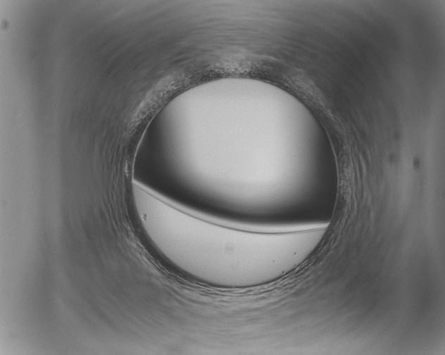 X0000057580023200509160822
