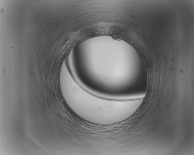 X0000057580035200509160822