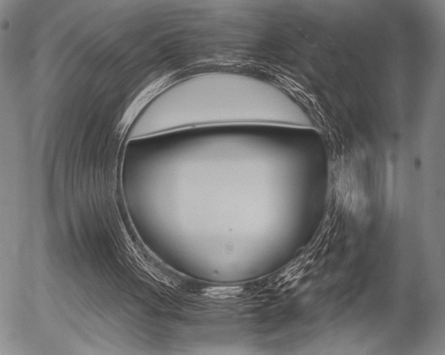 X0000057580051200509160821