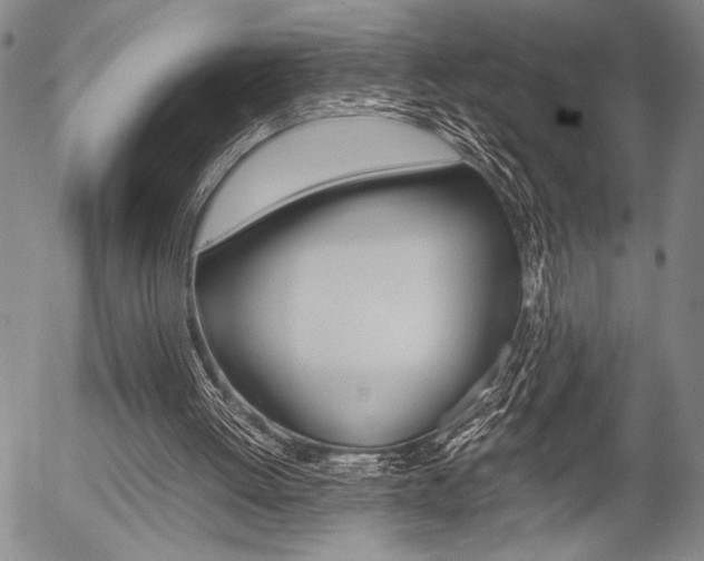 X0000057580052200509160821