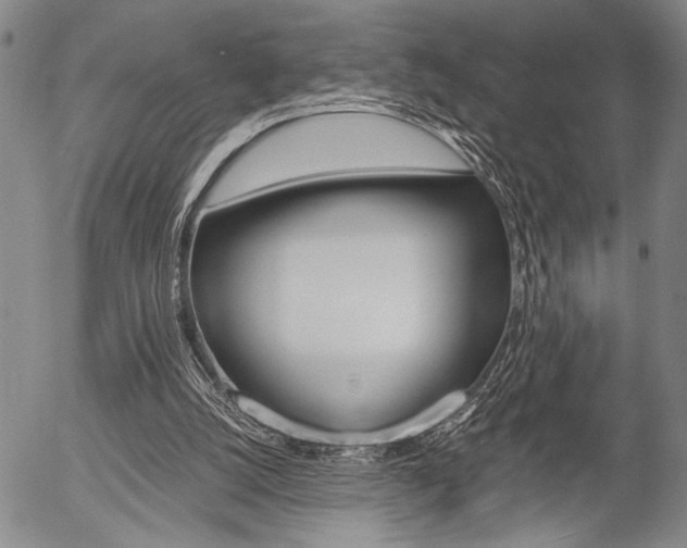 X0000057580056200509160821