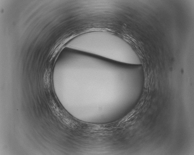 X0000057580098200509160821
