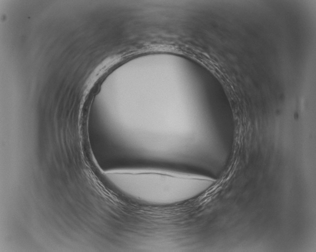 X0000057580104200509160821