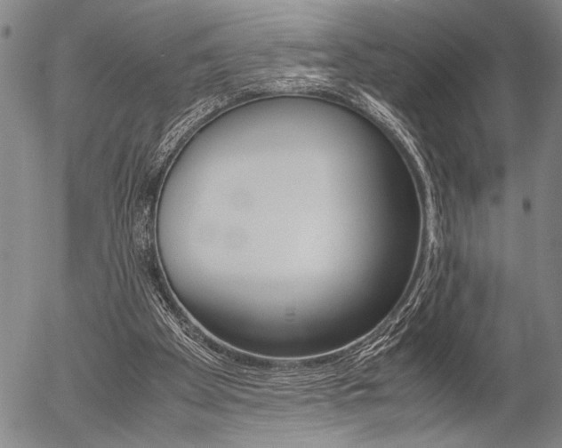 X0000057580105200509160821