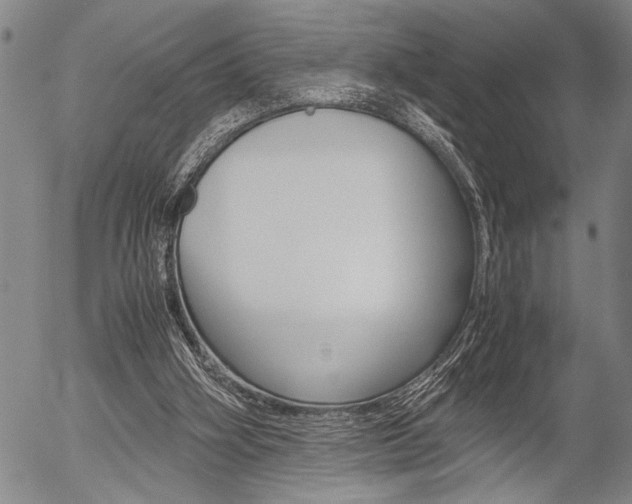 X0000057580106200509160821