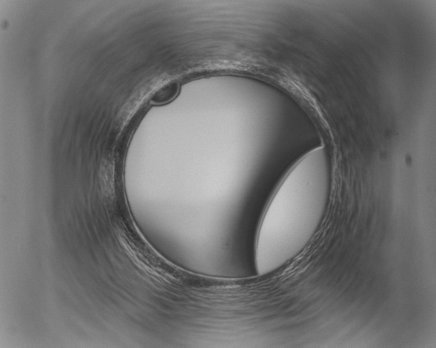 X0000057580108200509160821