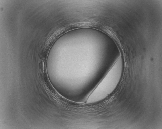 X0000057580109200509160821