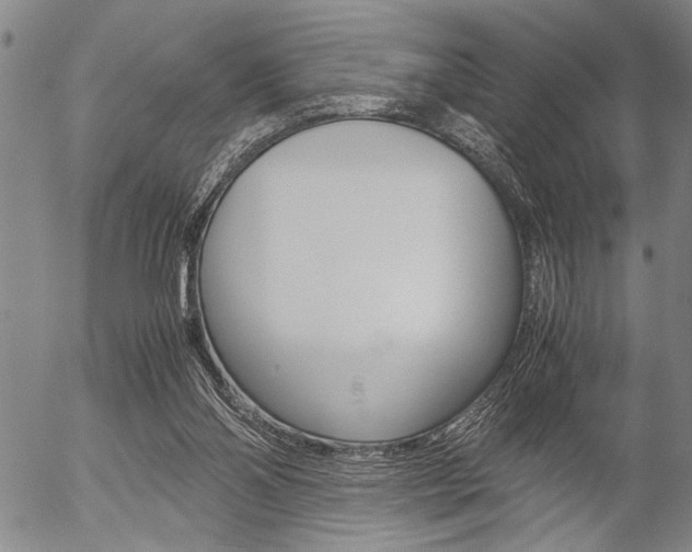 X0000057580110200509160821