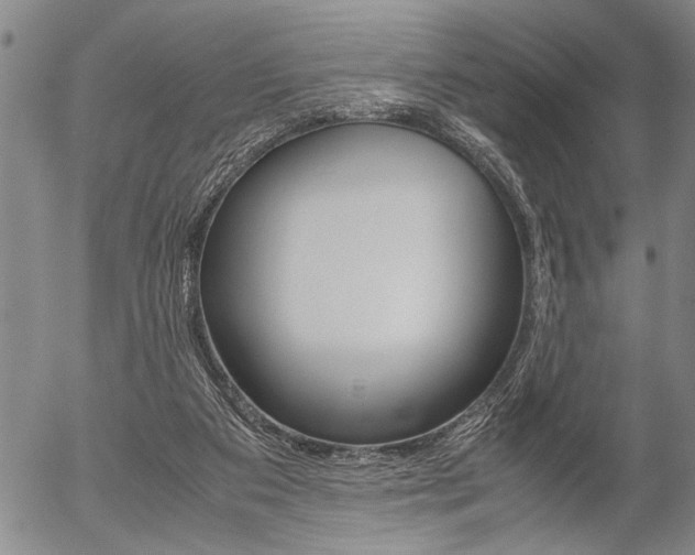 X0000057580113200509160821
