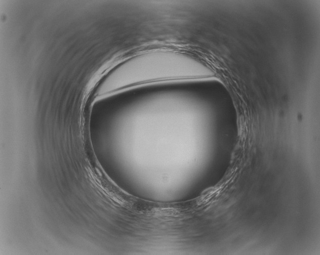 X0000057580150200509160819