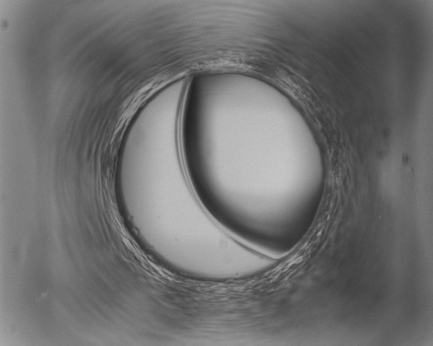 X0000057580193200509160819