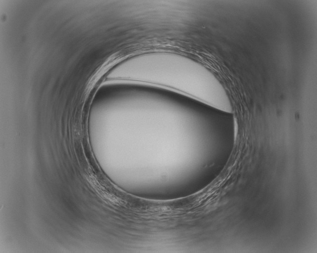 X0000057580195200509160819