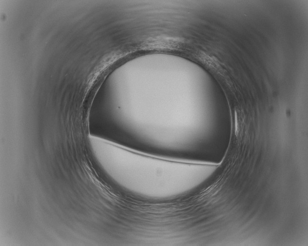 X0000057580204200509160819