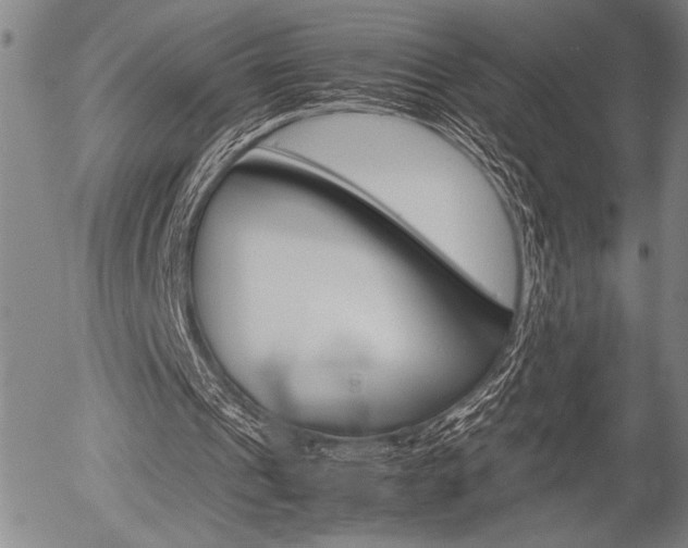 X0000057580241200509160818