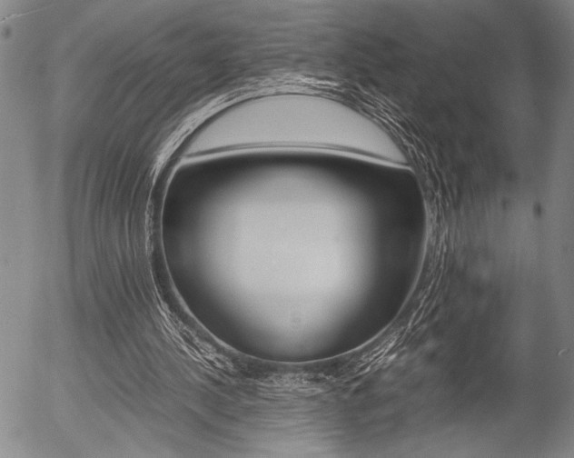 X0000057580244200509160818