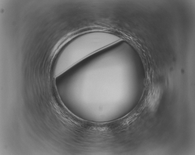 X0000057580247200509160818