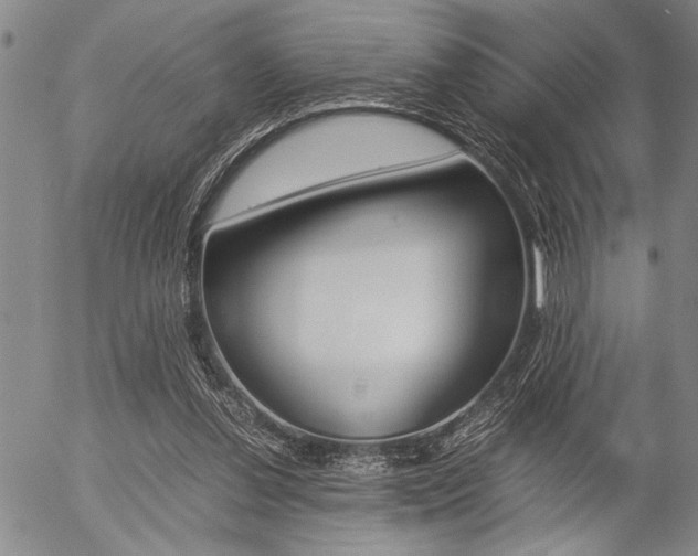 X0000057580252200509160818