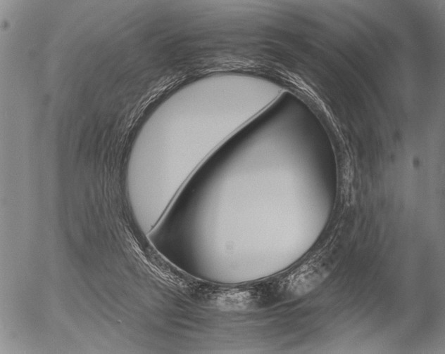 X0000057580257200509160818