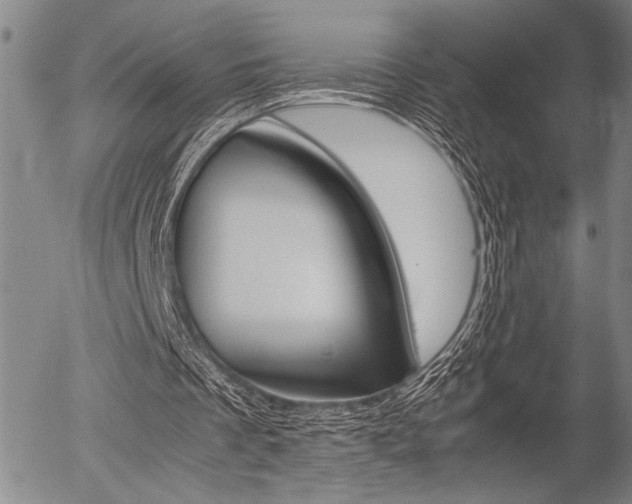 X0000057580289200509160818