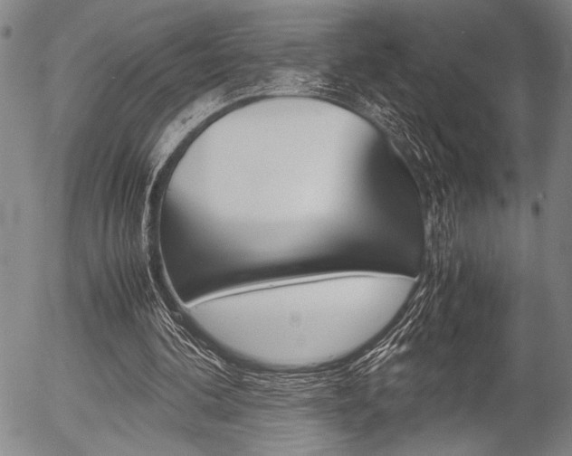 X0000057580292200509160818