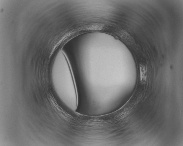 X0000057580300200509160818