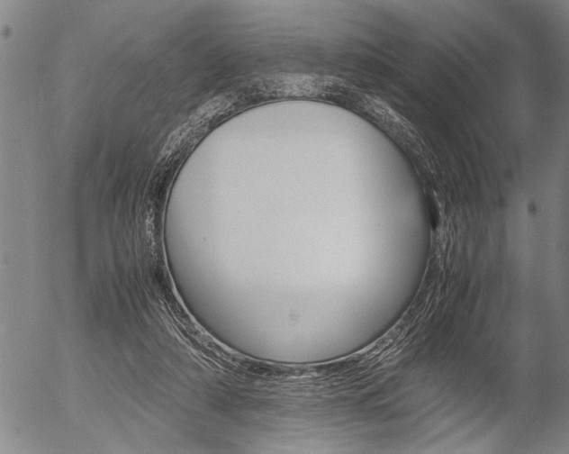 X0000057580306200509160817