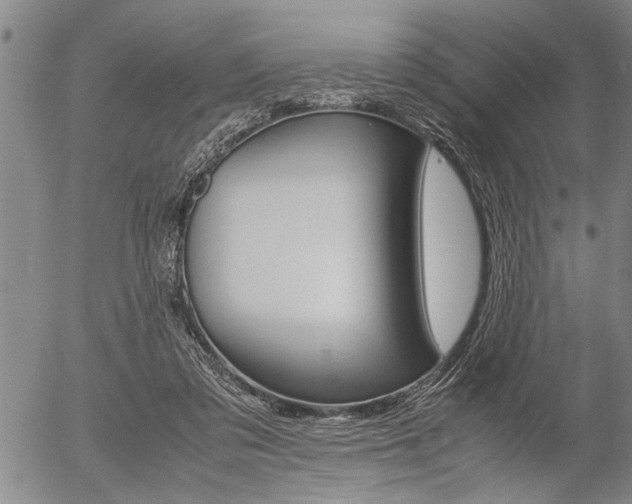 X0000057580309200509160817
