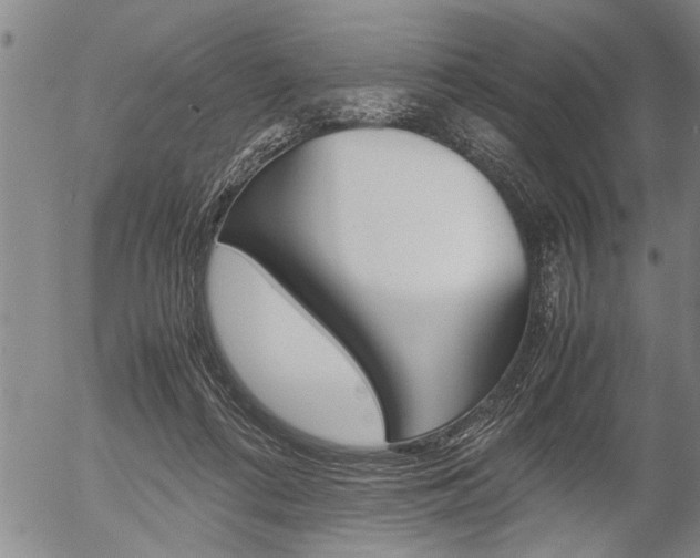 X0000057580312200509160817