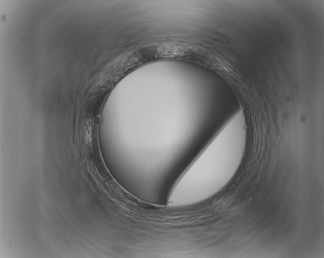 X0000057580315200509160817