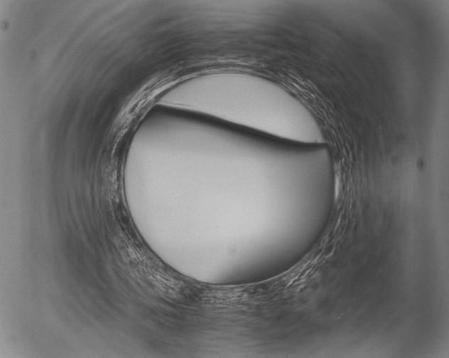X0000057580339200509160816