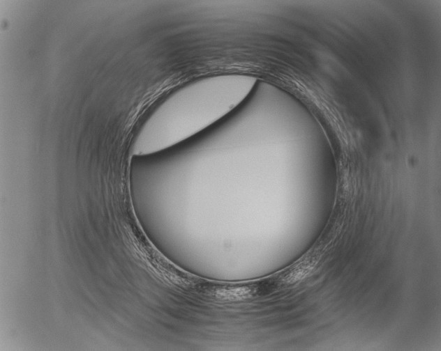 X0000057580357200509160817