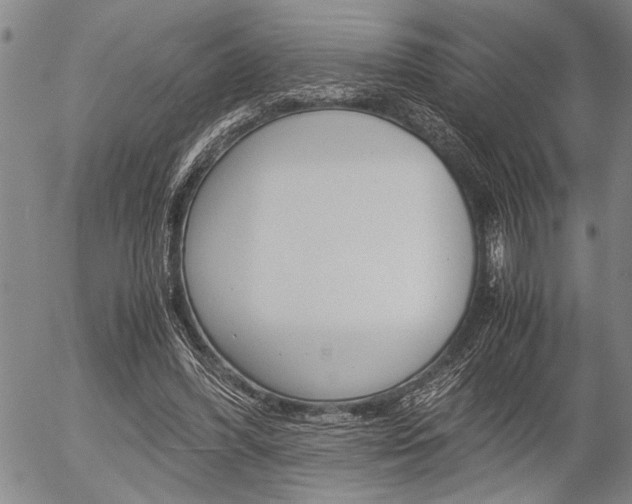 X0000057580396200509160816