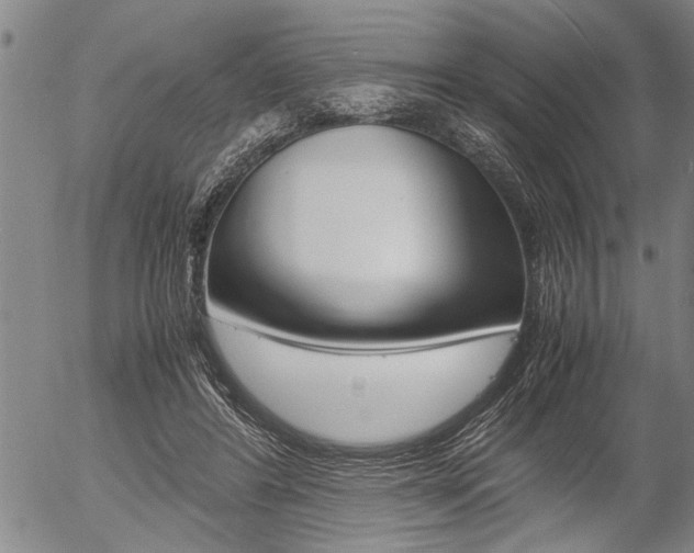 X0000057580404200509160816