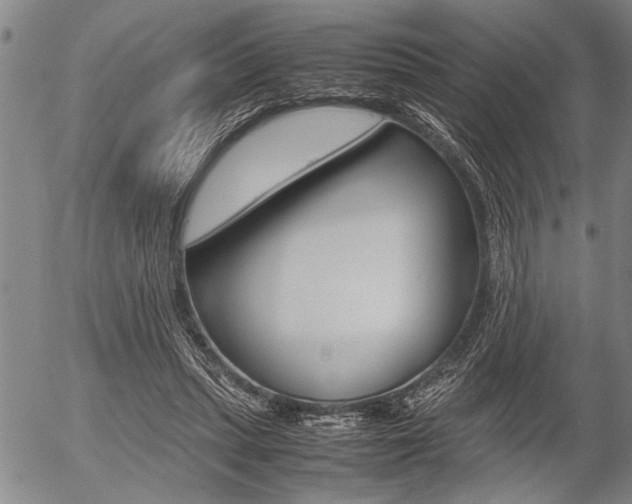 X0000057580447200509160815