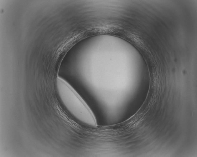 X0000057580450200509160815