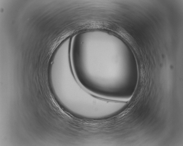 X0000057580485200509160815