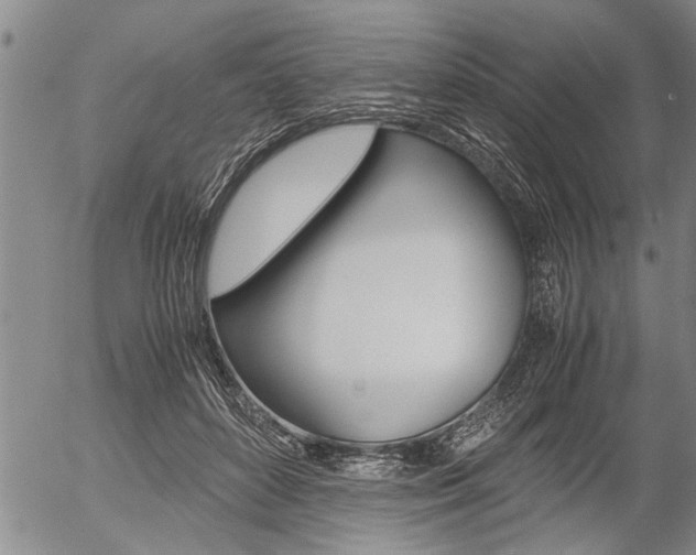 X0000057580504200509160814