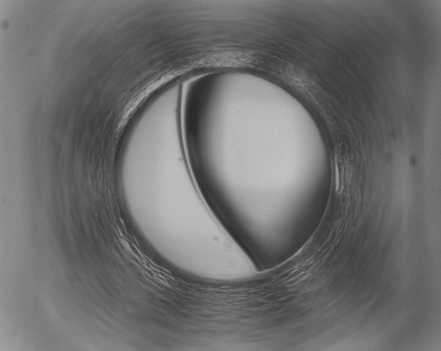 X0000057580531200509160813
