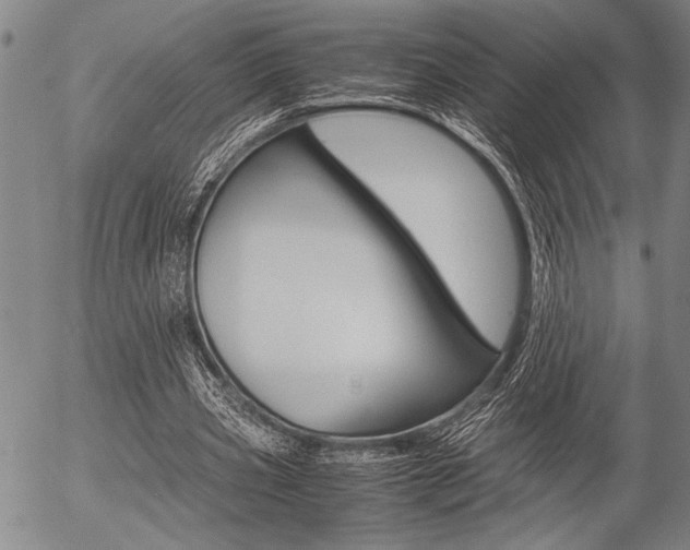 X0000057580533200509160813