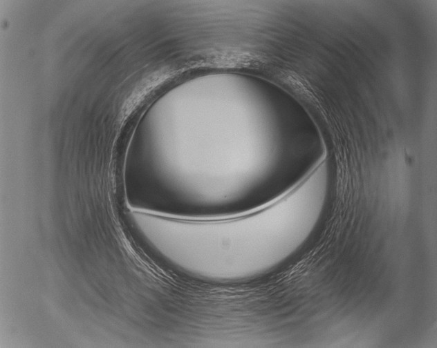 X0000057580536200509160813
