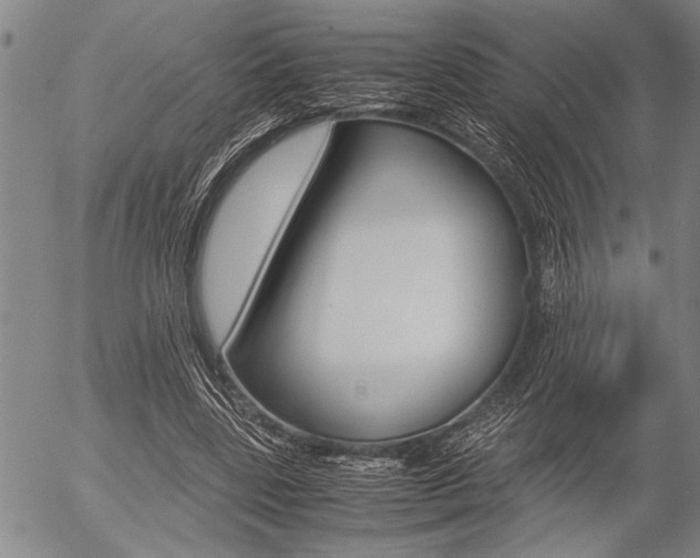 X0000057580539200509160813